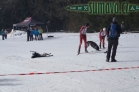 Belvederský sprint, 1. skijöringový závod na Železnorudsku