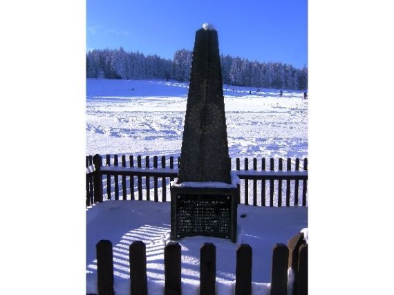 pomník padlých WWI, Javorník