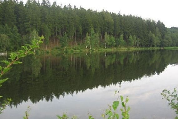 rybník Bušek