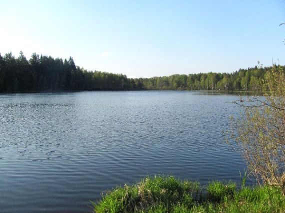 Křišťanovický rybník