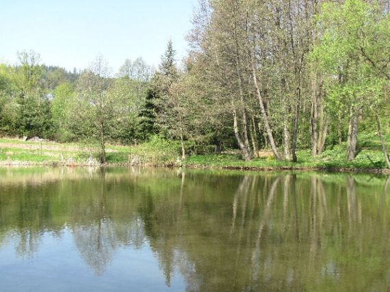 rybník Běhařov