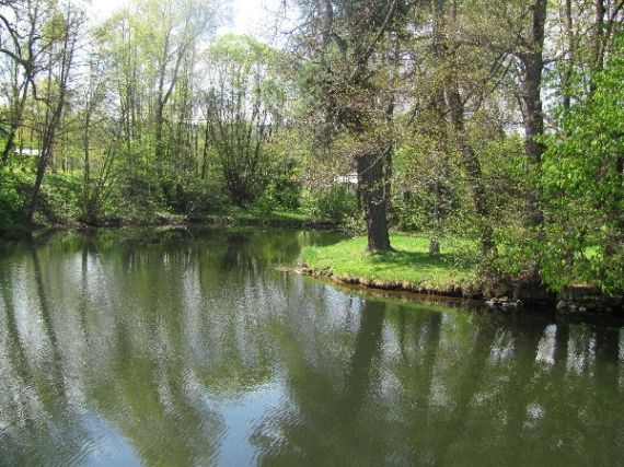 zámecký rybník Zdíkov