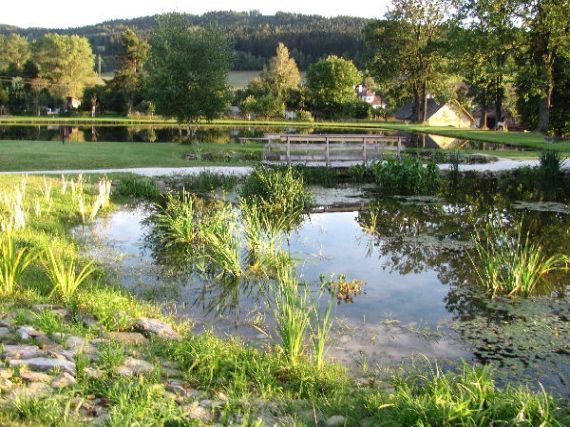 rybníky Dešenice