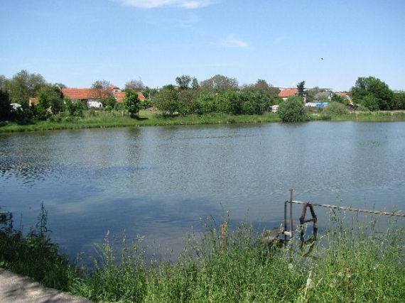 rybník Vražda, Radomyšl