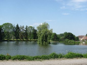 Obecní rybník, Čejetice