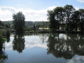 návesní rybník, Petrovice u Měčína