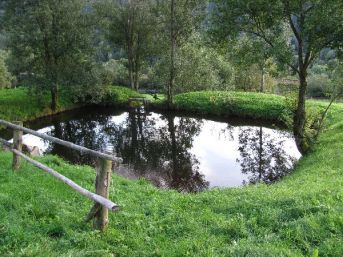 rybníček u Brčálníku