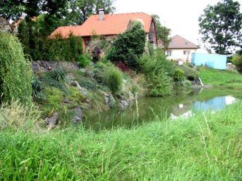 rybníček Štěpánovice
