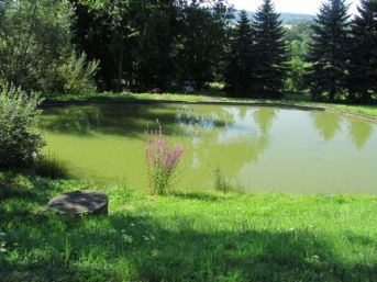 rybník Pařezov