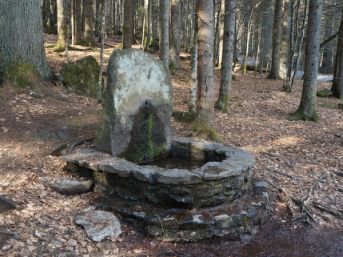 studánka u Grosse Deffernik (D)