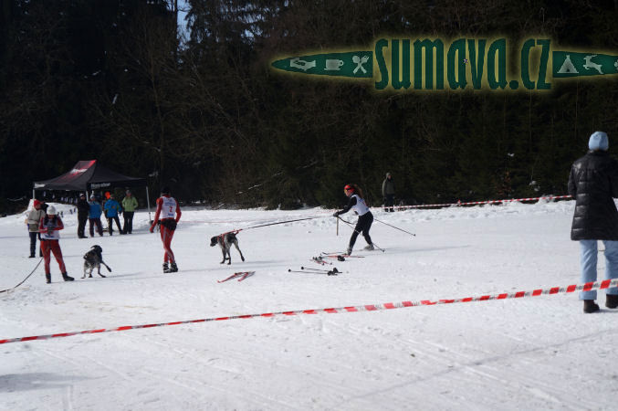 Belvederský sprint, 1. skijöringový závod na Železnorudsku