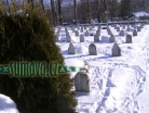 židovský hřbitov pochodu smrti, Volary