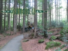 pohádkový les Märchenwald 2012