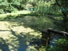 rybník Grandlový